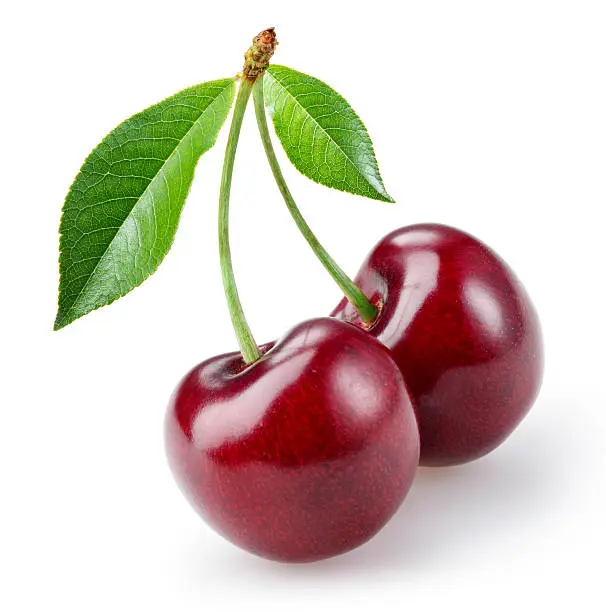 Cherry Pak 98111