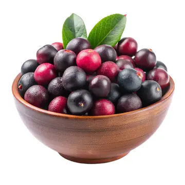 Falsa Pak 98156