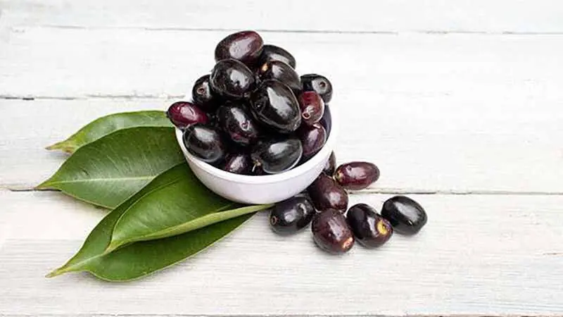 Jamun Pak 98171
