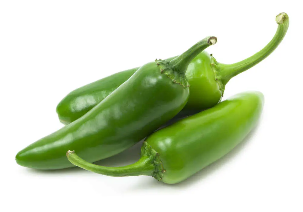 Green Chilli Pak 98127