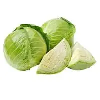 Fresh Cabbage 98142