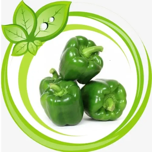 Capsicum Green 98132