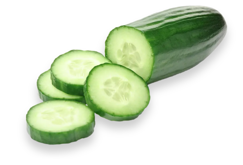 Cucumber 98144