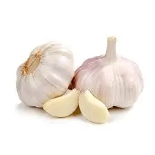 Garlic Fresh 98128