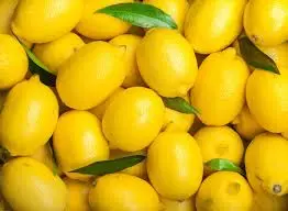 Lemon Fresh Small 98138