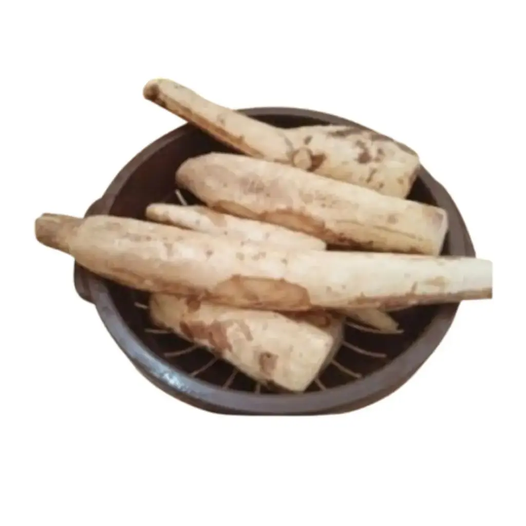 Moringa Radish (Sohanjana Moli) 98188