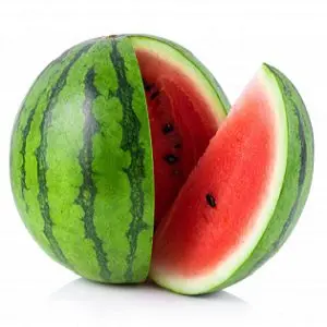 Watermelon 98151