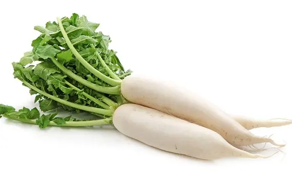 White Radish 98165