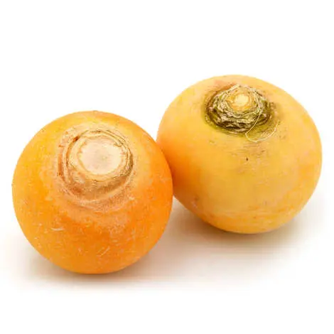 Yellow Shaljam pak 98190