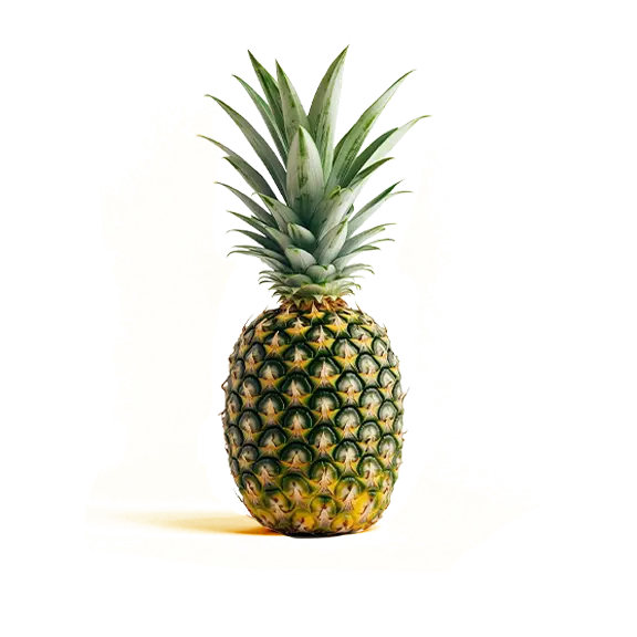Fresh Pine Apple 98201