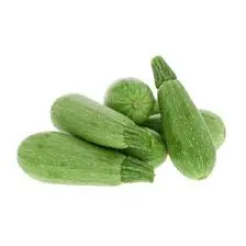 FRESH KOOSA (Marrow) 98202