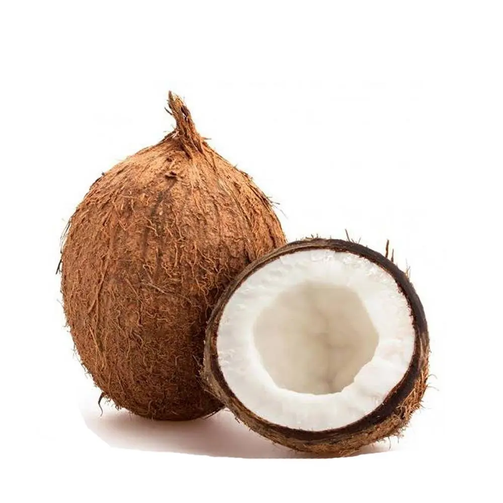 Fresh Brown Coconut 98203