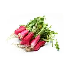Fresh Radish 98206