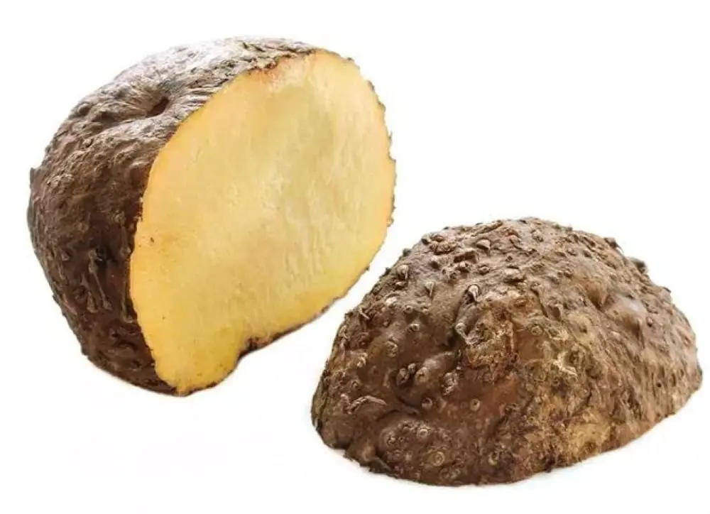 Elephant Yam(Suran) 98240