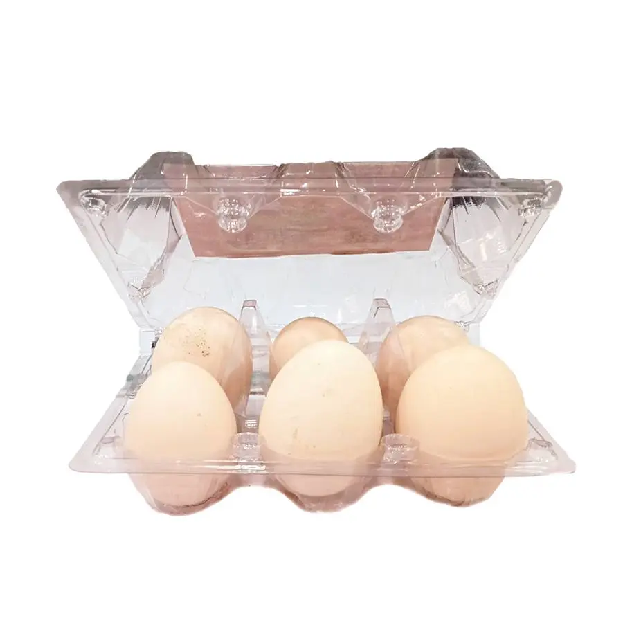  Deesi Egg 98249