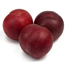 Fresh Plum 98254