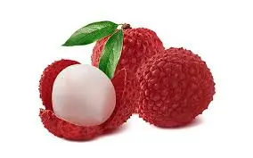 Lychee Fresh 98263