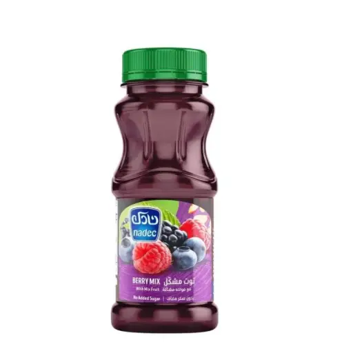 [6281057013715] Nadec Berry W/Mix Fruit 180 Ml
