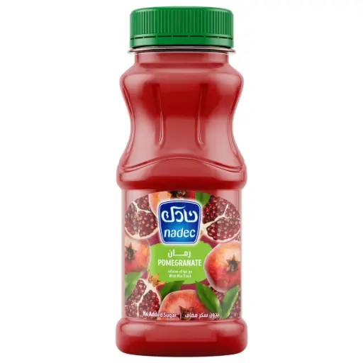 [6281057013791] Nadec Pomegranate W/Mix Fruit 180 ml 1171