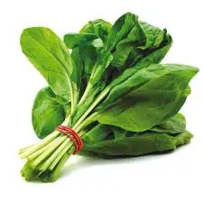 [98194] Palak Fresh 98194