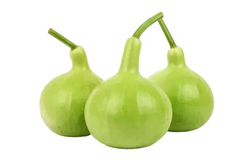 [98118] Louki Round/Long Pak 98118