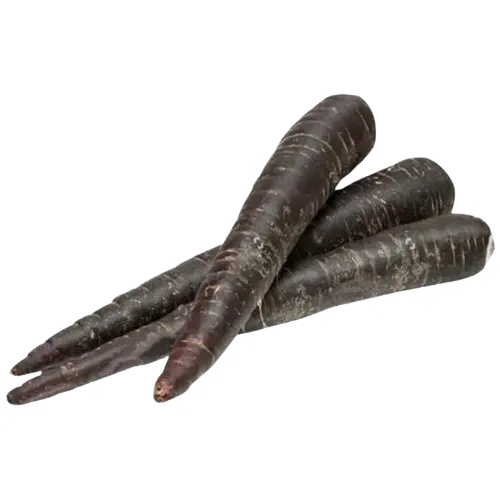 Black Carrot Pak 98124