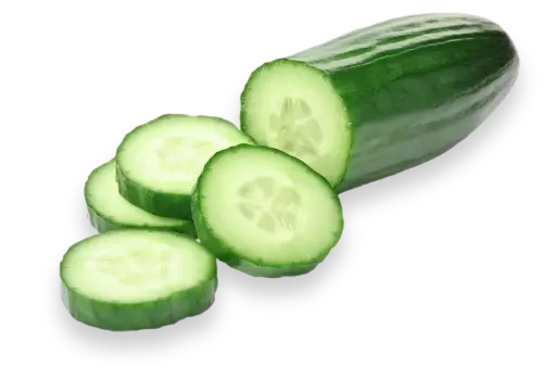 [98144] Cucumber 98144
