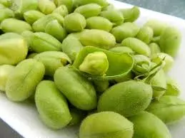 [98155] Green Chana Pak 98155