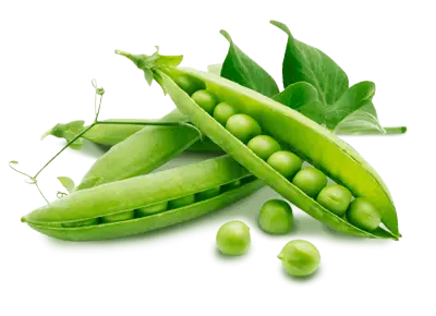 [93120] Green Mattar 500 G