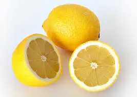 [98139] Lemon Fresh Big 98139