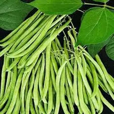 [98182] Lobia Phali 98182