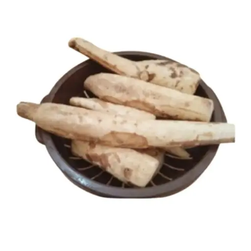 [98188] Moringa Radish (Sohanjana Moli) 98188