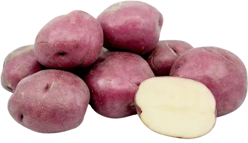 [98125] Potato Red Pak 98125