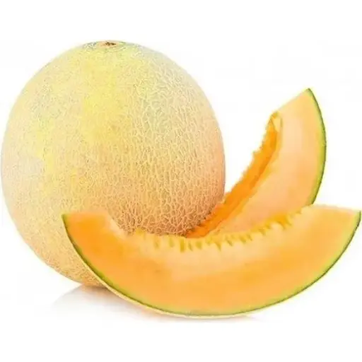 [98193] Sweet Melon Fresh 98193