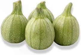 [98122] Tindi Pak 98122