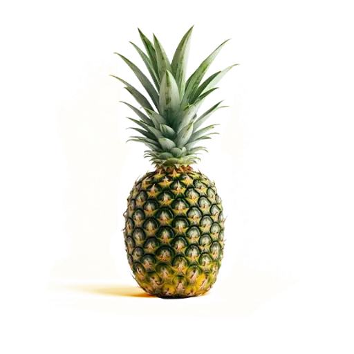 [98201] Fresh Pine Apple 98201