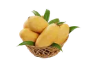  Sindri Mango 3kg Box