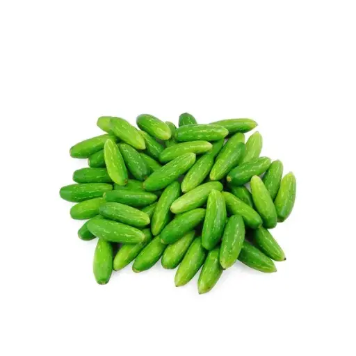 [98244] Fresh Tindly 98244