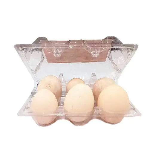 [98249]  Deesi Egg 98249